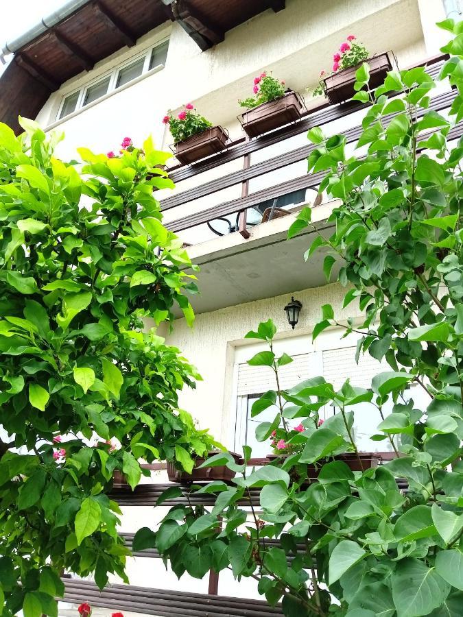 Apartman Kod Dide I Bake Vukovar Εξωτερικό φωτογραφία